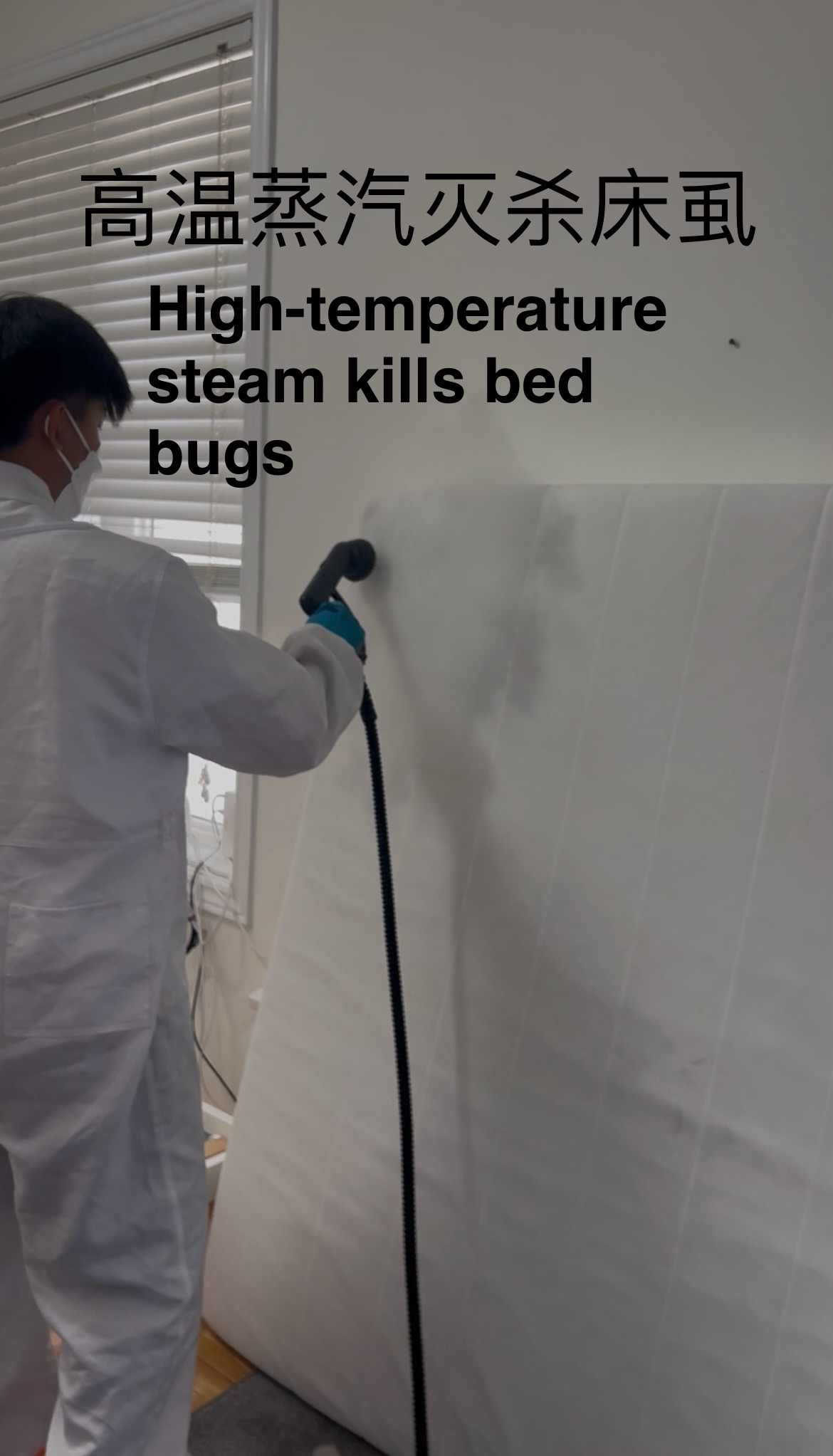 High-temperature steam kills bed bugs
